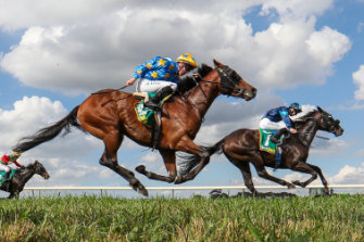 An eight-race card greets punters at Taree on Monday.