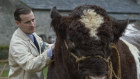 Nicholas Ralph stars in "All Creatures Great and Small". 