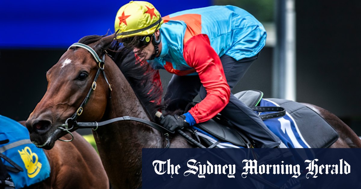 Everest contenders: Your guide to picking a winner in the big race