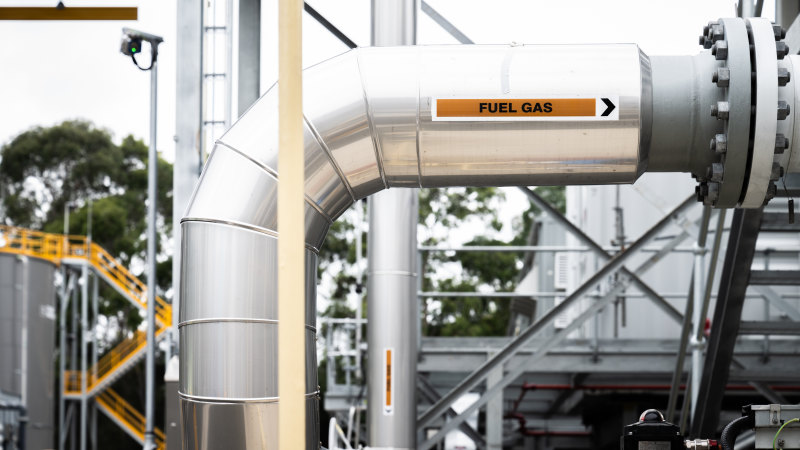 Labor plan to buy gas to stop factory closures as prices soar