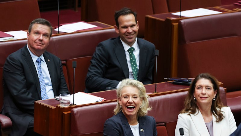 Inside the Coalition split: From attack to collapse in 48 hours