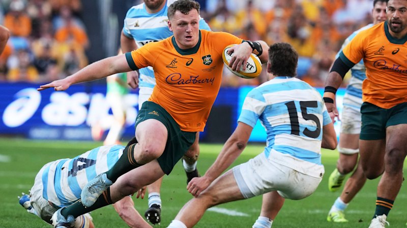 Rugby Championship to be turfed under massive SANZAAR tours shake-up