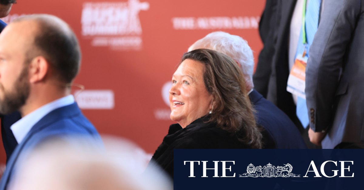 Hope Downs case: Gina Rinehart finds unlikely ally - Vimarsana News