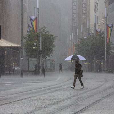 How Sydney’s big wet is seeping into our homes, old and new