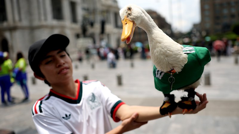 How closely are you following the FIFA tournament so far?