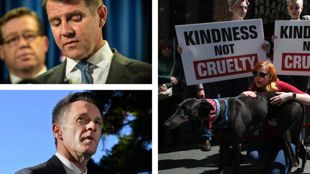 Why NSW Labor will not take the same road on greyhounds as Baird