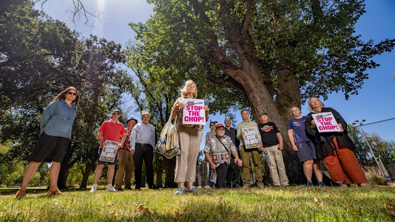 Shade v sport: Fitzroy divided over Edinburgh Gardens tennis expansion