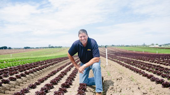 AusVeg chairman and leafy green grower Bill Bulmer on his east Gippsland property. 