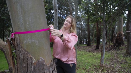 SMH NEWS: Concerned local citizens including Federal MP Kylea Tink, armed with ribbons to tie around trees convene for a meeting at a park in North Sydney to discuss State Government plans to destroy a green belt in order to extend the Waringah Freeway: October 8, 2022. Photograph by James Alcock/SMH