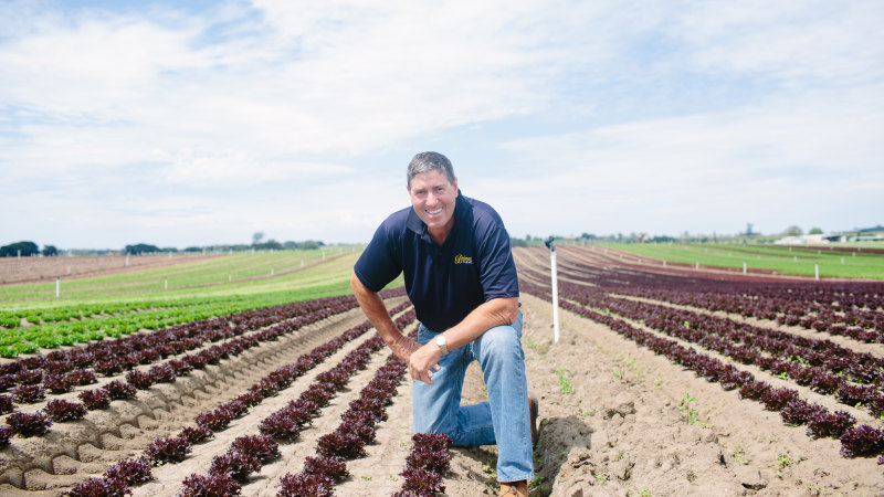 Farm Labour Shortage Risks Food Price Spike As Aussies Shun Harvest Jobs