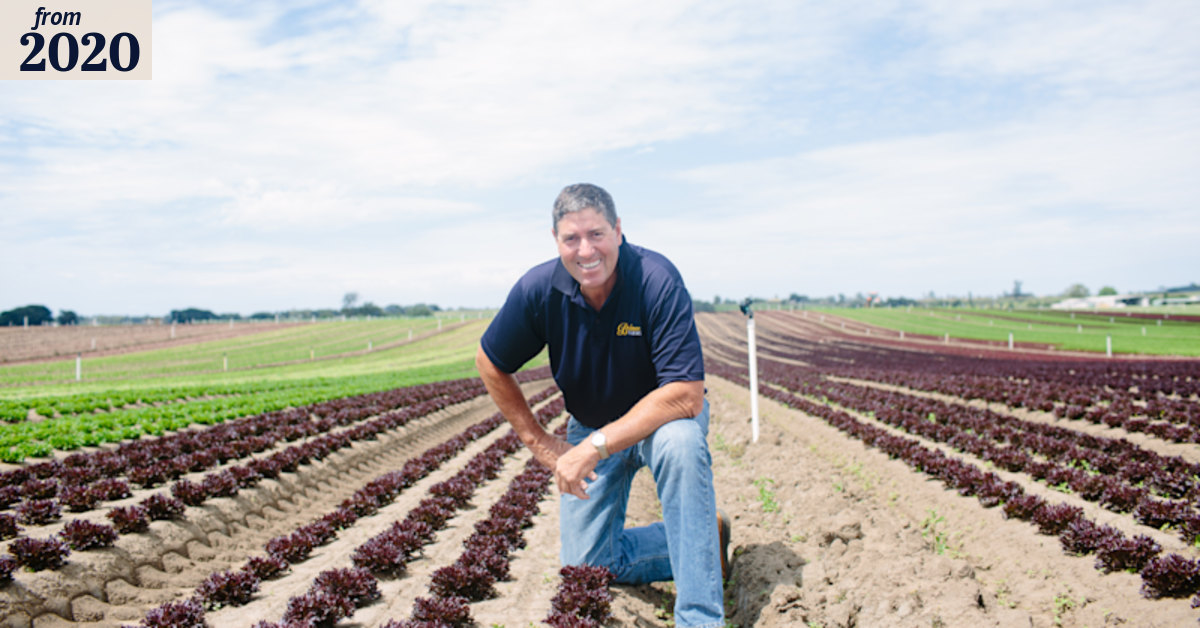 Farm labour shortage risks food price spike as Aussies shun harvest jobs