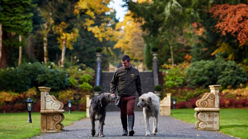 The unexpected highlight of a hotel can sometimes be a four-legged resident