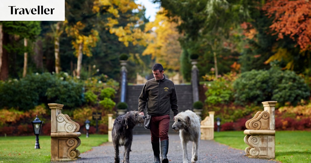 The unexpected highlight of a hotel can sometimes be a four-legged resident