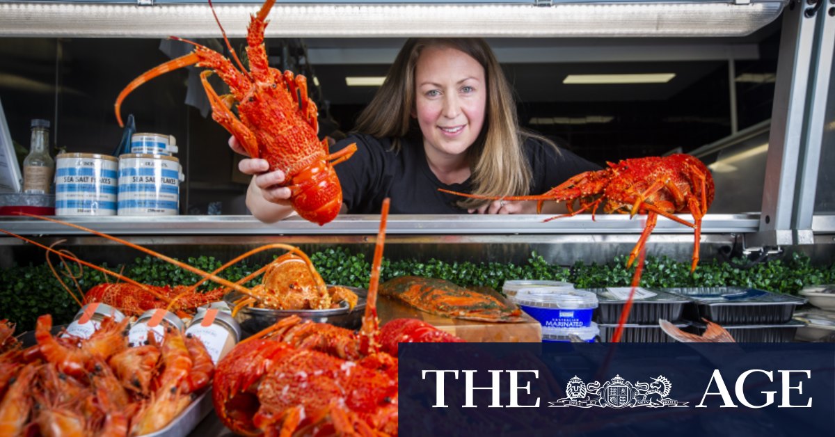 Harga lobster batu Victoria diperkirakan mencapai level terendah enam tahun bulan ini
