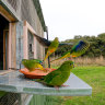 Bird with a wire: How to track one of Australia’s rarest species