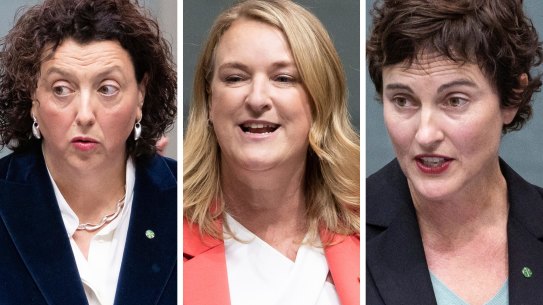 North Sydney MP Kylea Tink, Kooyong Monique Ryan and Curtin’s Kate Chaney.