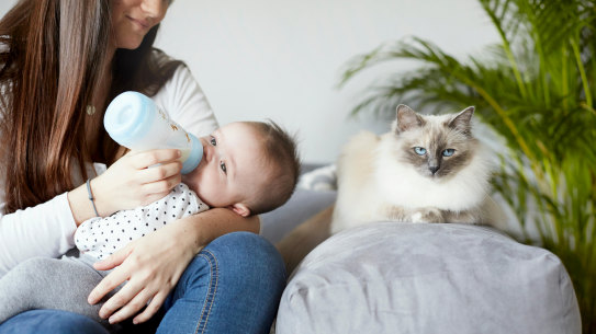 Baby formula manufacturers have been caught out breaching the industry code by marketing products to mothers.