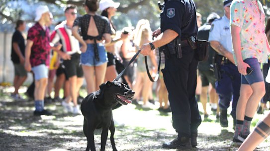 Police undertake searches with the help of police dogs