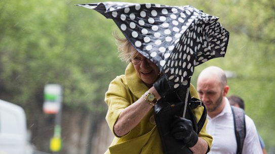 Melbourne weather: Wild winds bring trees down across Victoria