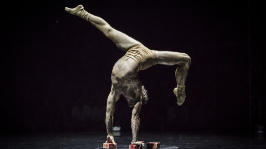 More than 75 per cent of CIRCA's revenue derives from performance fees, all now stripped away.