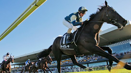 Glen Boss cruises to the post on Sir Dragonet in a dominant Tancred victory.