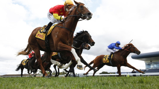 Tim Clark and In The Congo (left) combine to win the San Domenico Stakes at Kembla Grange on Saturday.