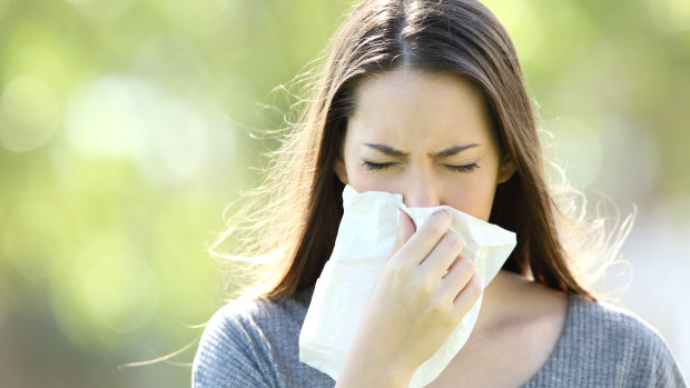 Is your hay fever getting worse? It could be climate change