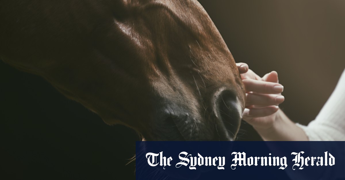 Gift horses: The healing power of equine therapy" - Vimarsana News