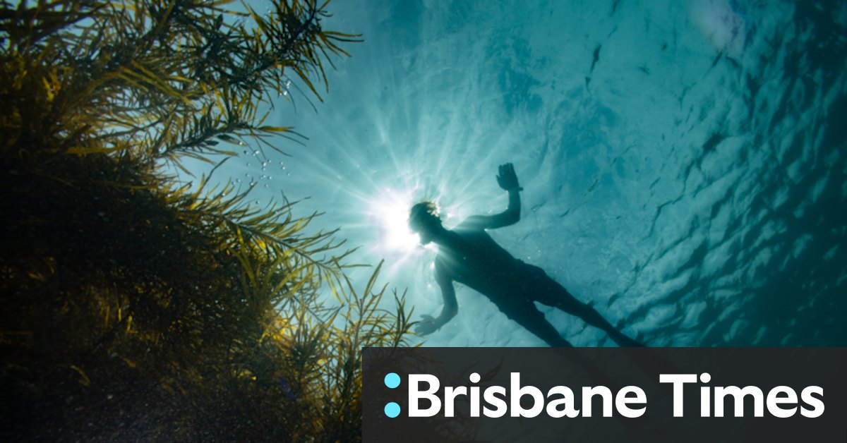 The best places to snorkel near Melbourne: Jawbone Bay, Ricketts Point, Blairgowrie, Rye, Altona Beach - Vimarsana News