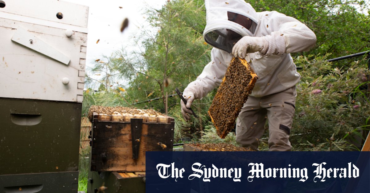 Chemical concerns after mass bee kill - Vimarsana News