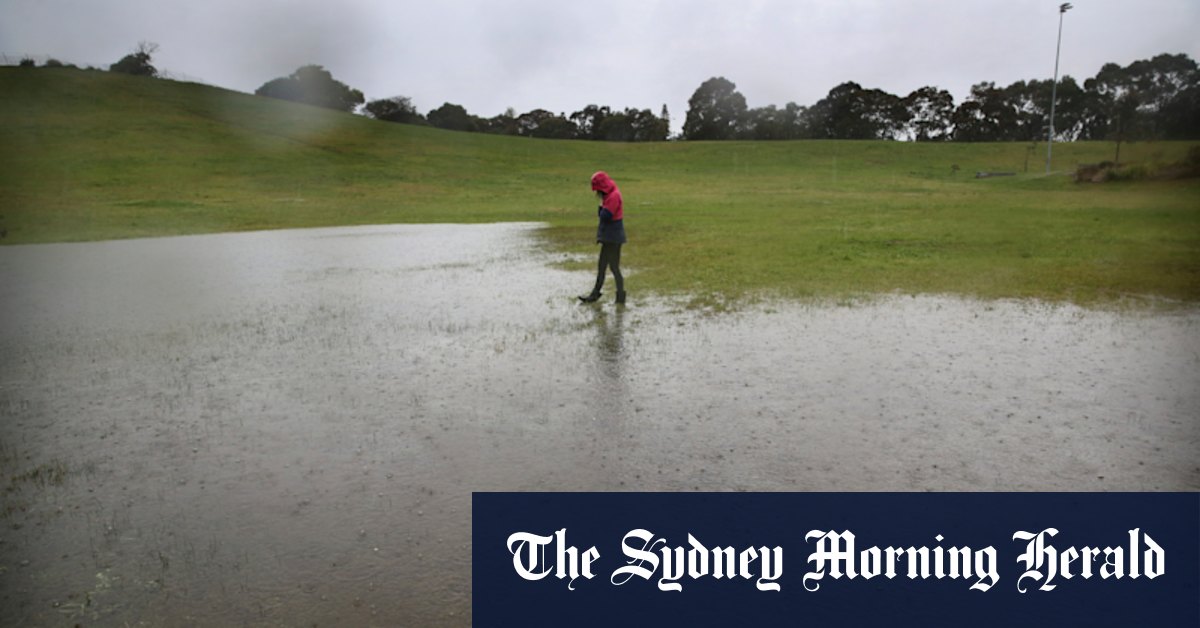 Sydney weather: NSW coastline lashed by gale-force winds, sparking evacuations - Vimarsana News
