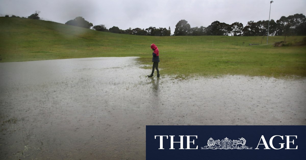 Sydney weather: NSW coastline lashed by gale-force winds, sparking evacuations - Vimarsana News