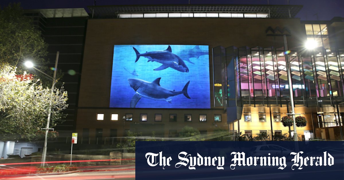 Daylight savings: Your guide to staying cultured in Sydney on a budget - Vimarsana News