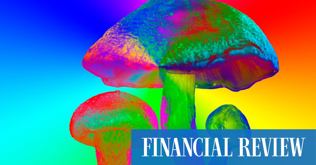 afr.com - The Economist - A psychedelic medicine performs well against depression