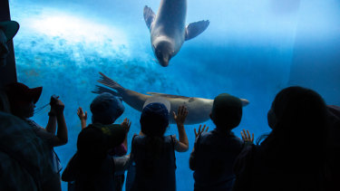 An outdoor film festival at Melbourne Zoo will focus on environmental issues.