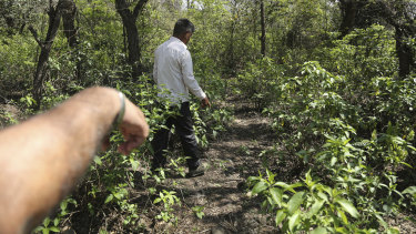 Men inspect the site where the body of Asifa, who was raped and murdered, was found.