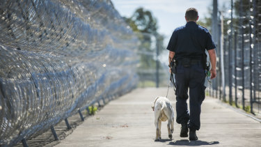 Staff overtime costs in Queensland's prisons are rising.