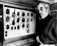 Davies with his extensive collection of butterflies, bugs and beetles in 1973. 