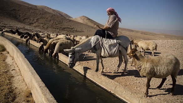 A Palestinian shepherd with his sheep in the Jordan Valley West Bank this week. Israeli Prime Minister Benjamin Netanyahu's plan, which has drawn international reproval, would entail applying Israeli sovereignty to parts of the West Bank, including Jewish settlements.

