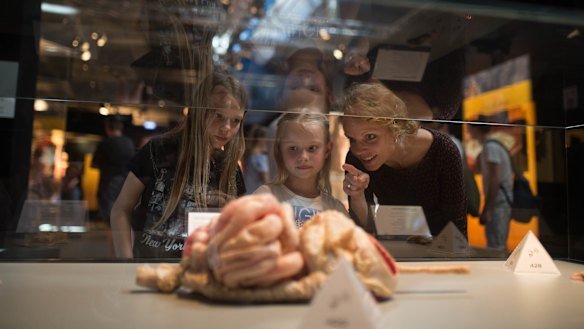 'An emotional experience': Human bodies laid bare in Melbourne exhibition