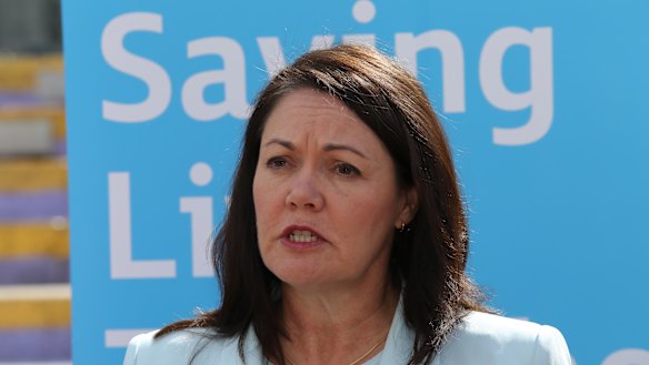 Liza Harvey is the former deputy premier.