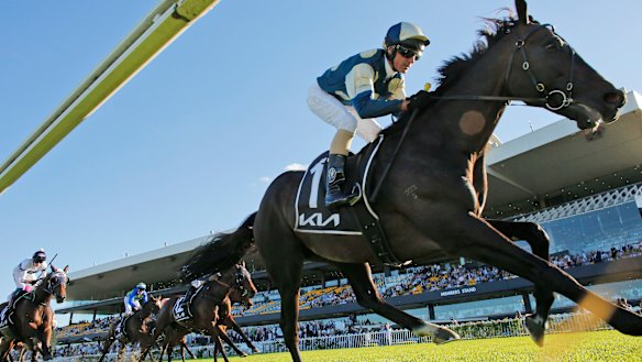 Glen Boss cruises to the post on Sir Dragonet in a dominant Tancred victory.