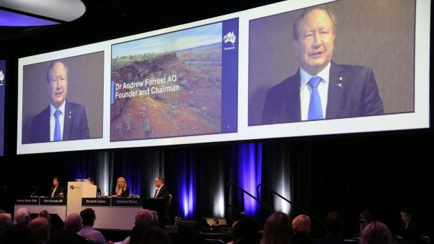 Fortescue Metals Group chairman Andrew Forrest speaks to shareholders via video link from Paraguay.