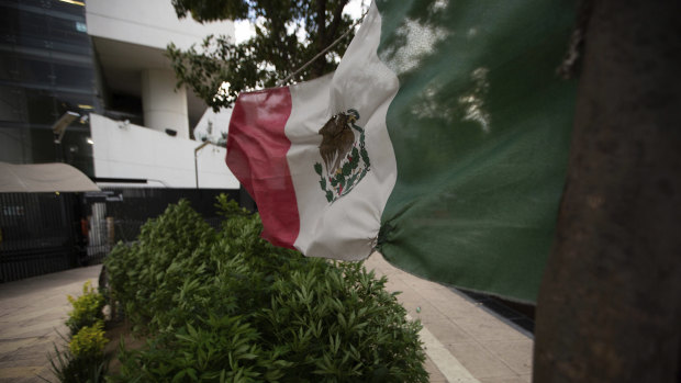 Marijuana plants wave in the wind along with a Mexican flag at a camp outside of the country’s Senate building in Mexico City where the vote took place.