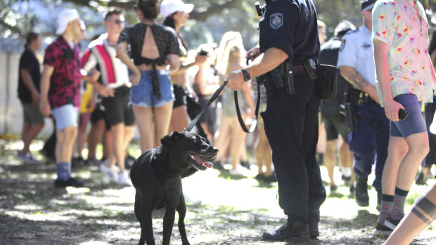 Music festivals are heavily policed.