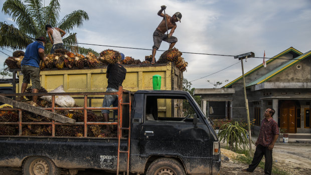 Men transporting palm oil in Indonesia.