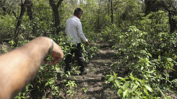 Men inspect the site where the body of Asifa, who was raped and murdered, was found.
