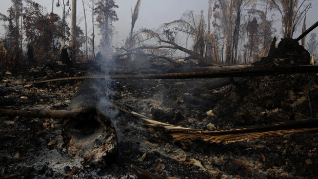Trees are destroyed after a fire in the Vila Nova Samuel region, along the road to the Jacunda National Forest, Rondonia state, part of Brazil's Amazon.