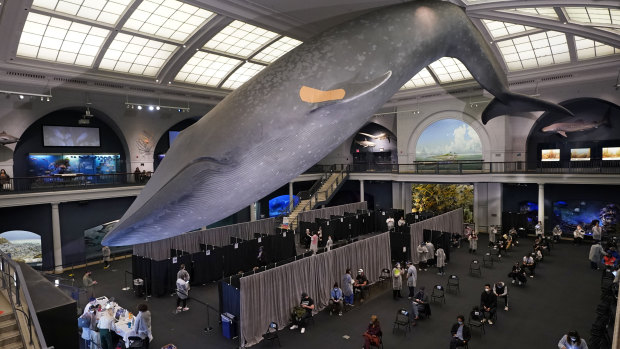 The American Museum of Natural History has turned into a mass vaccination site.