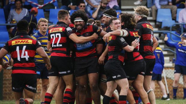 Norths celebrate a try in their two-point win over Sydney University at Rat Park on Saturday. 